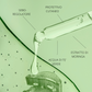 ACQUA DEFANCE - SIERO VISO ESTRATTO DI MORINGA